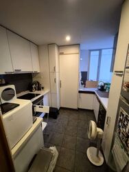The Levelz (D10), Condominium #539681921